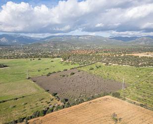 Land for sale in  Polígono 7 Parcela 204 VINYA DES CAULLS. 07141 MA, Marratxinet