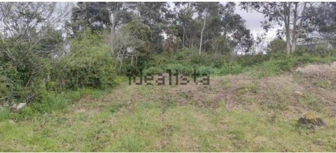 Residencial en venta en A Guarda  