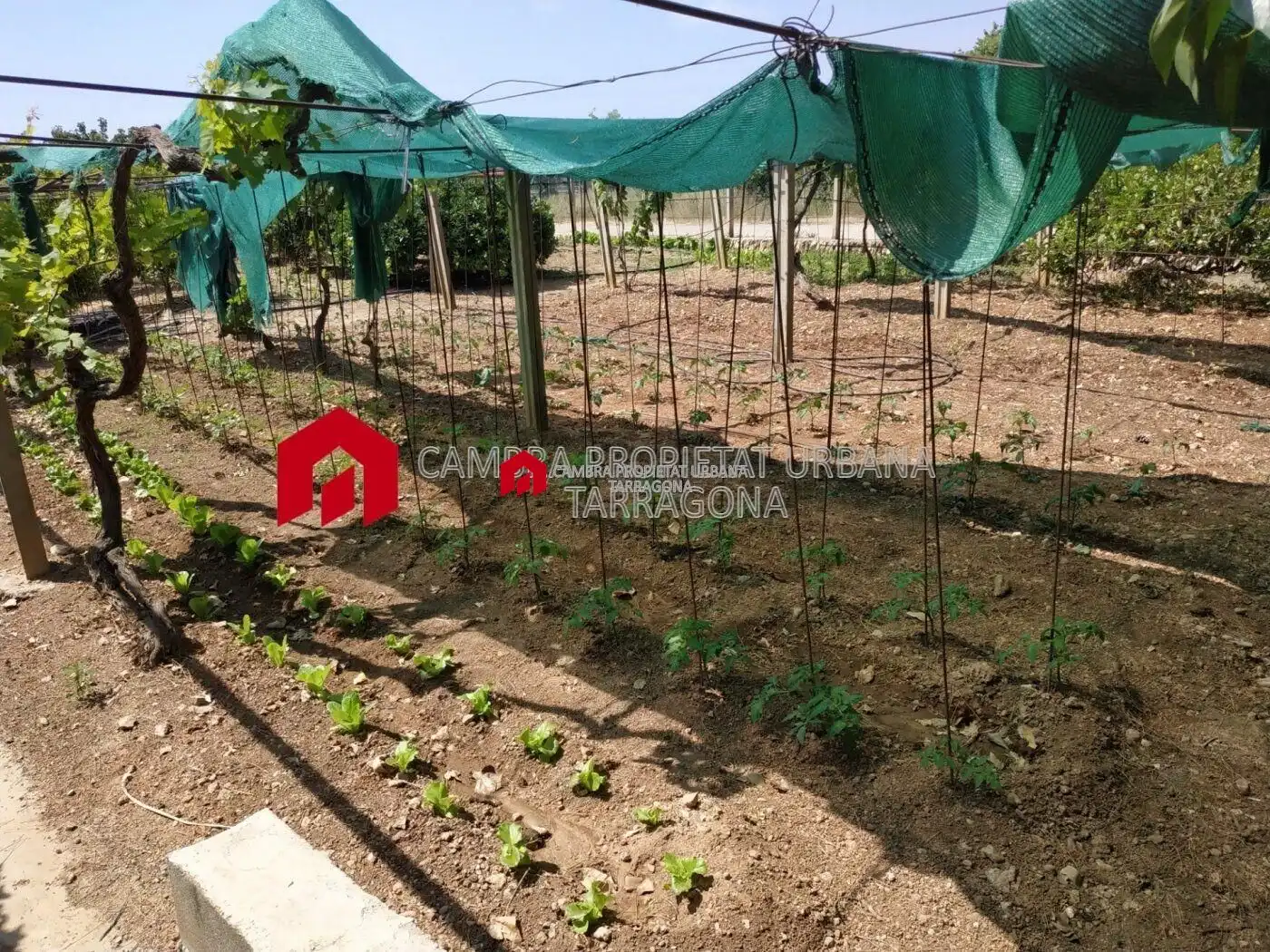 Jardí de Finca rústica en venda en L'Aldea amb Aire condicionat, Calefacció i Jardí privat