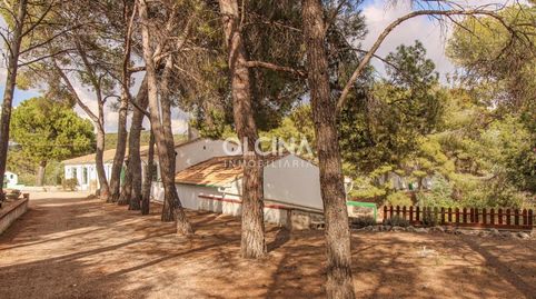 Foto 4 de Finca rústica en venta en Ibi, Alicante