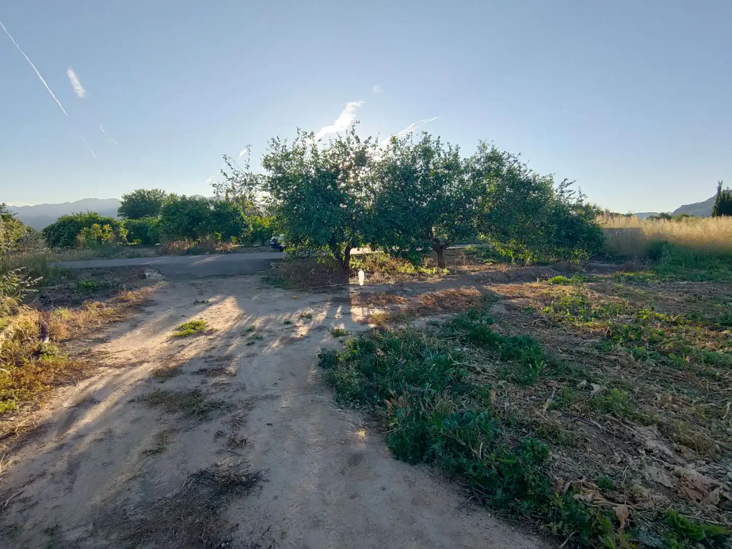 Terrain rustique à vendre à Diseminado Poligon 4 68, imagen 4