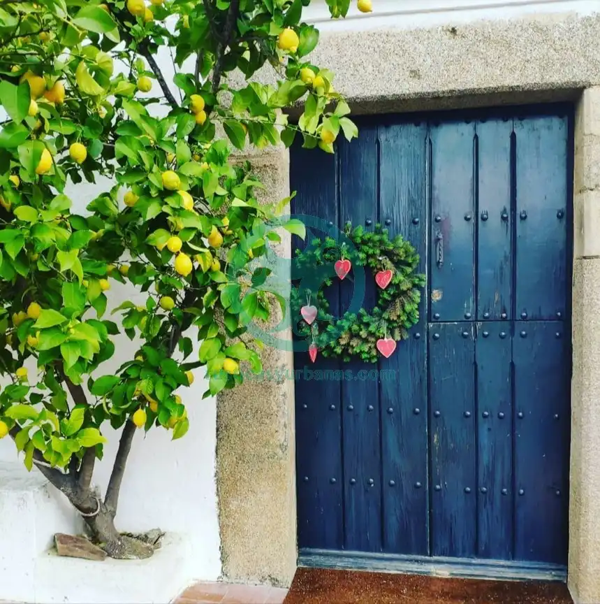 Country house with pool for sale in Calle Aguaperal, imagen 3