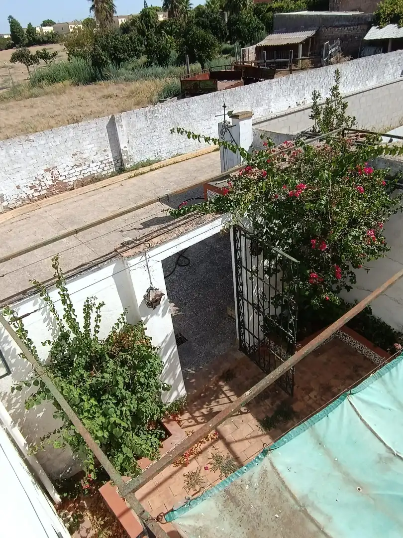 Maison jumelée avec jardin à vendre à Avenida Alcaldesa María Regla Jiménez, imagen 22