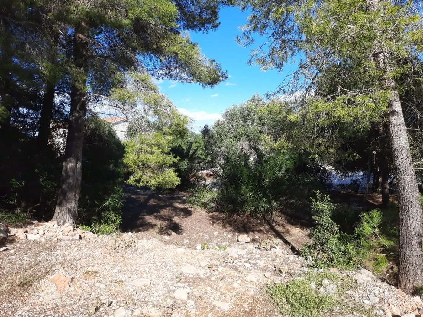 Grundstücke und Bauplätze zum Verkauf in El Montgó, imagen 4