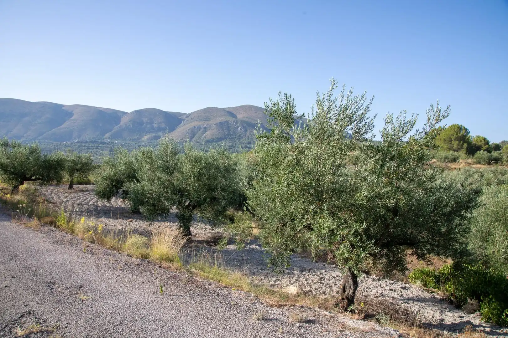 Residencial en venta en  Palma de Mallorca