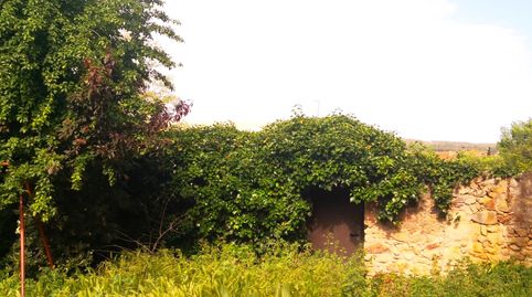 Foto 4 de Residencial en venta en Del Abeurador, Poble, Pals