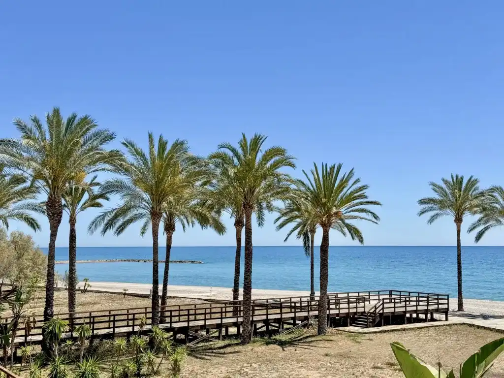 Exterior view of Apartments for rent in Els Terrers