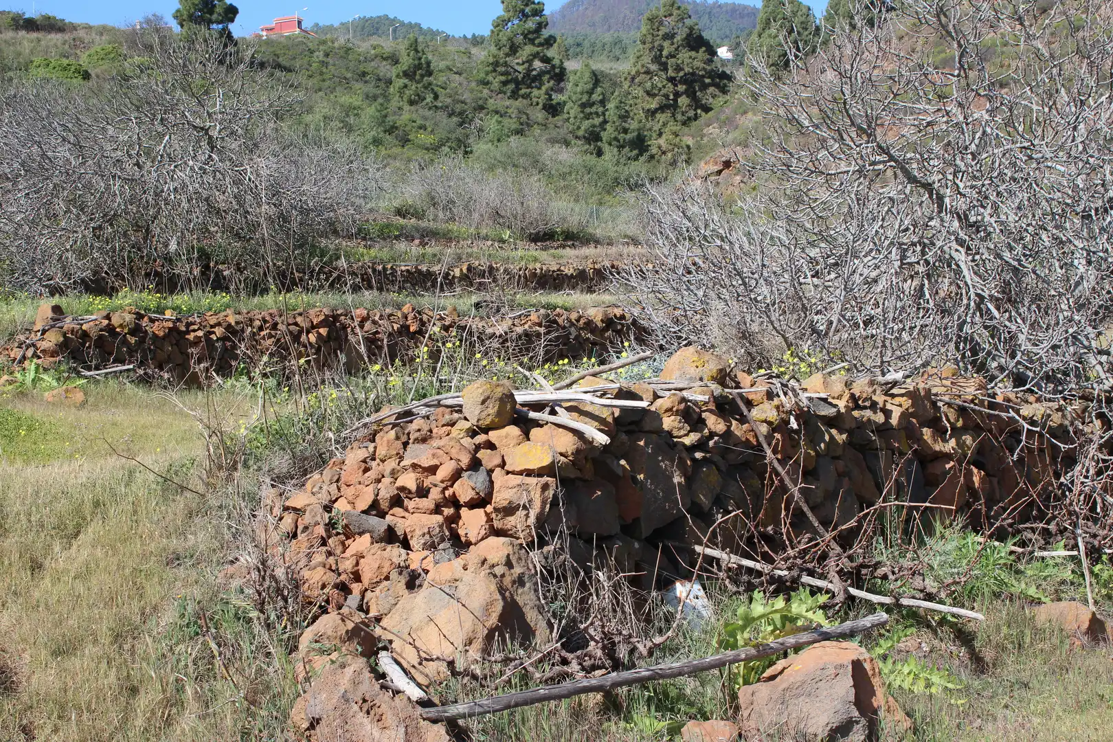Rustikales Grundstück zum Verkauf in Machado - Las Barreras, imagen 11