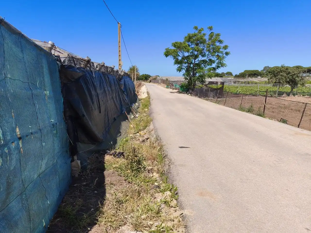Terreno rustico in vendita a Hijuela de María, imagen 2