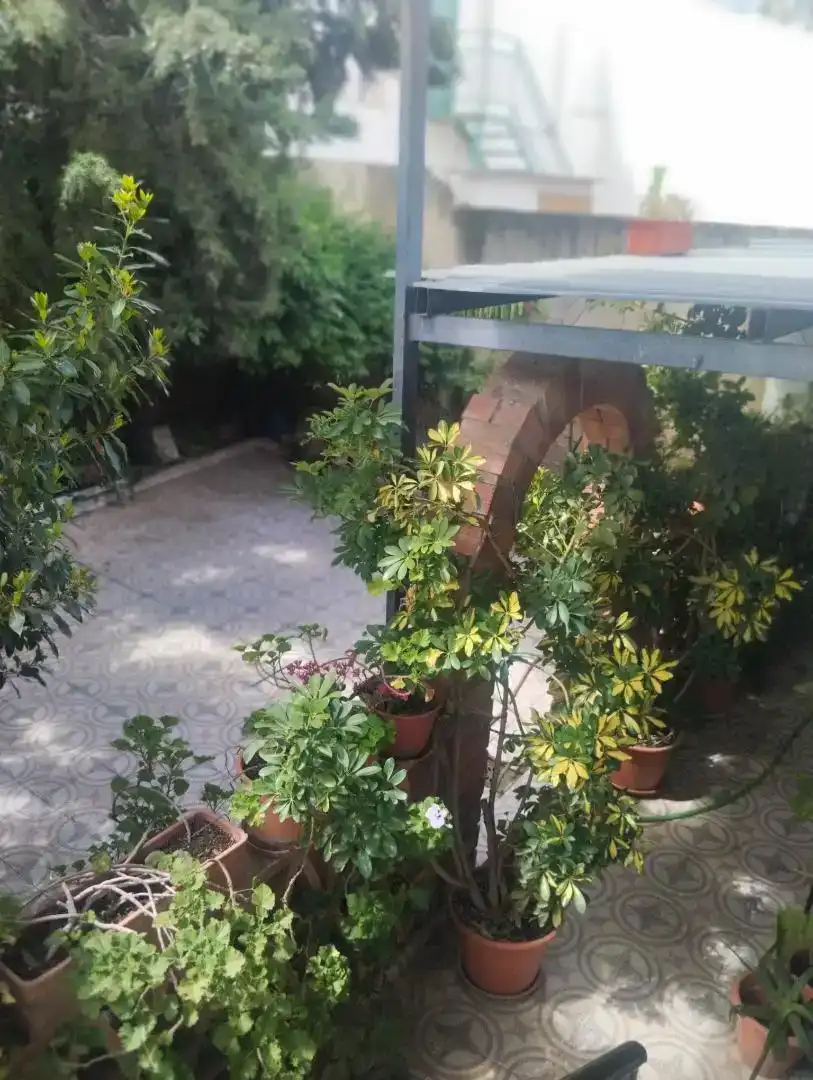 Terrassa de Casa adosada en venda en Vilches amb Aire condicionat i Balcó