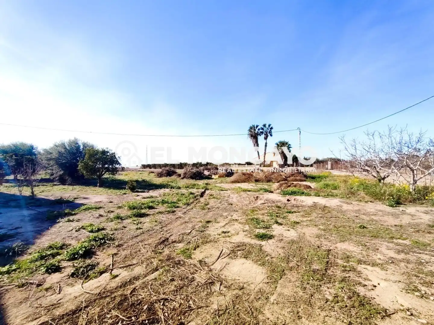 Casa o xalet en venda en Elche / Elx amb Aire condicionat, Calefacció i Jardí privat