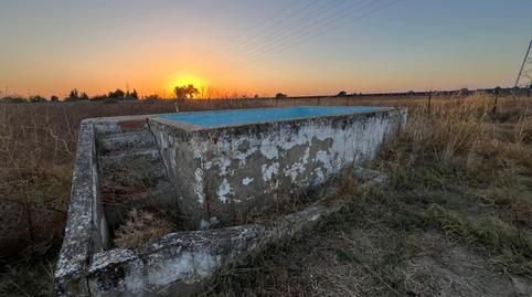 Foto 3 de Finca rústica en venda a Pedanías Norte, Sevilla