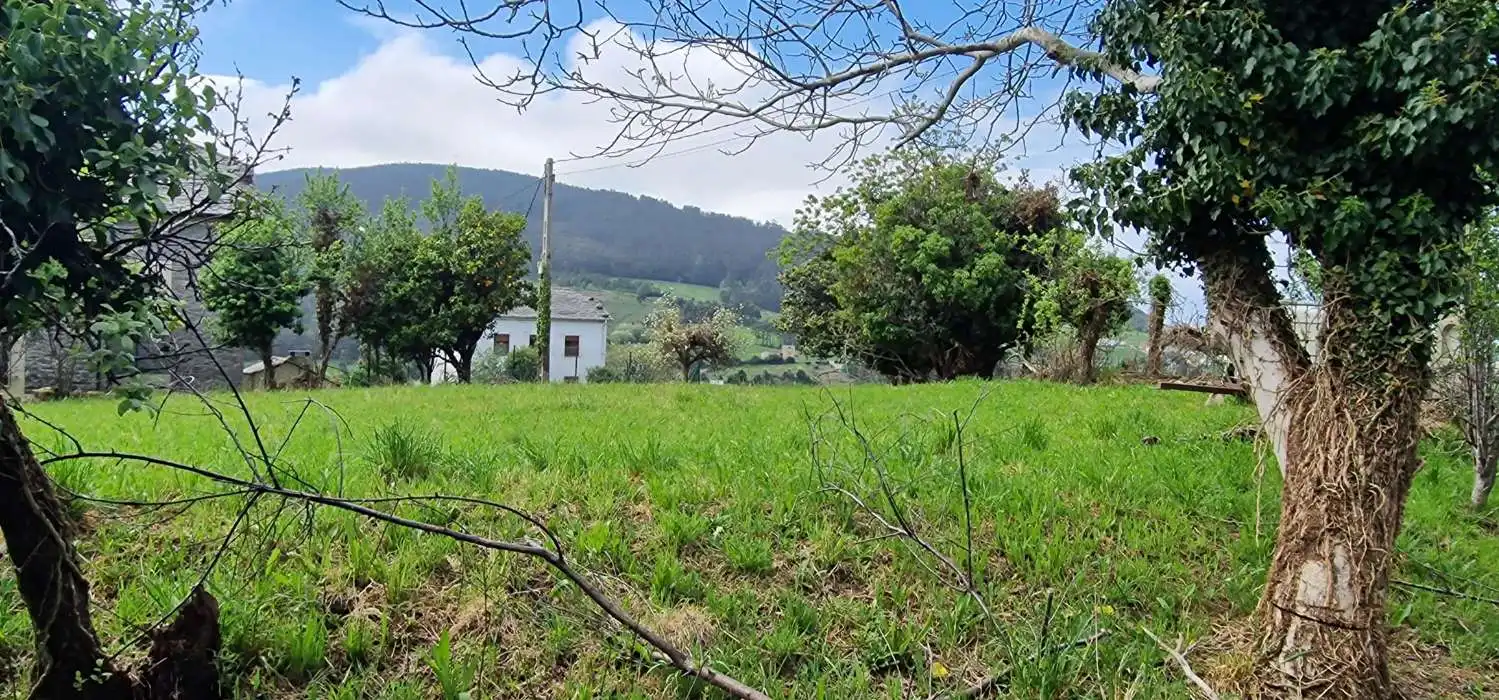 Terrenos y solares en venta en Coaña, imagen 5