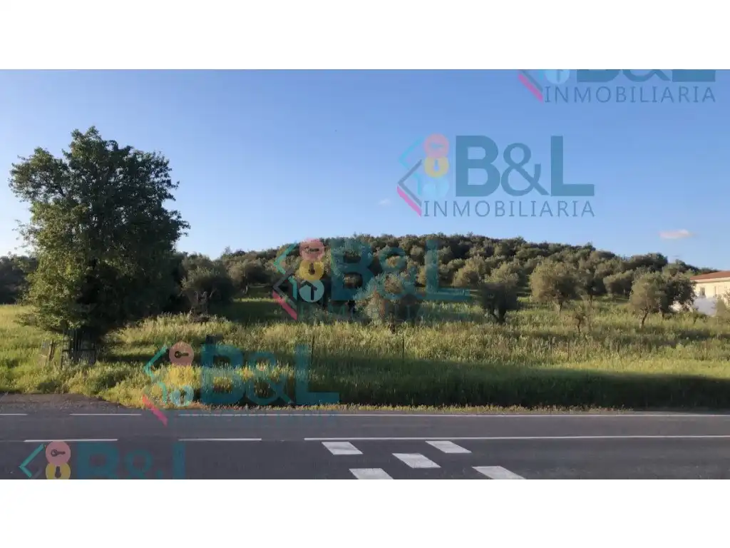 Terrenos y solares en venta en Rosal de la Frontera, imagen 2