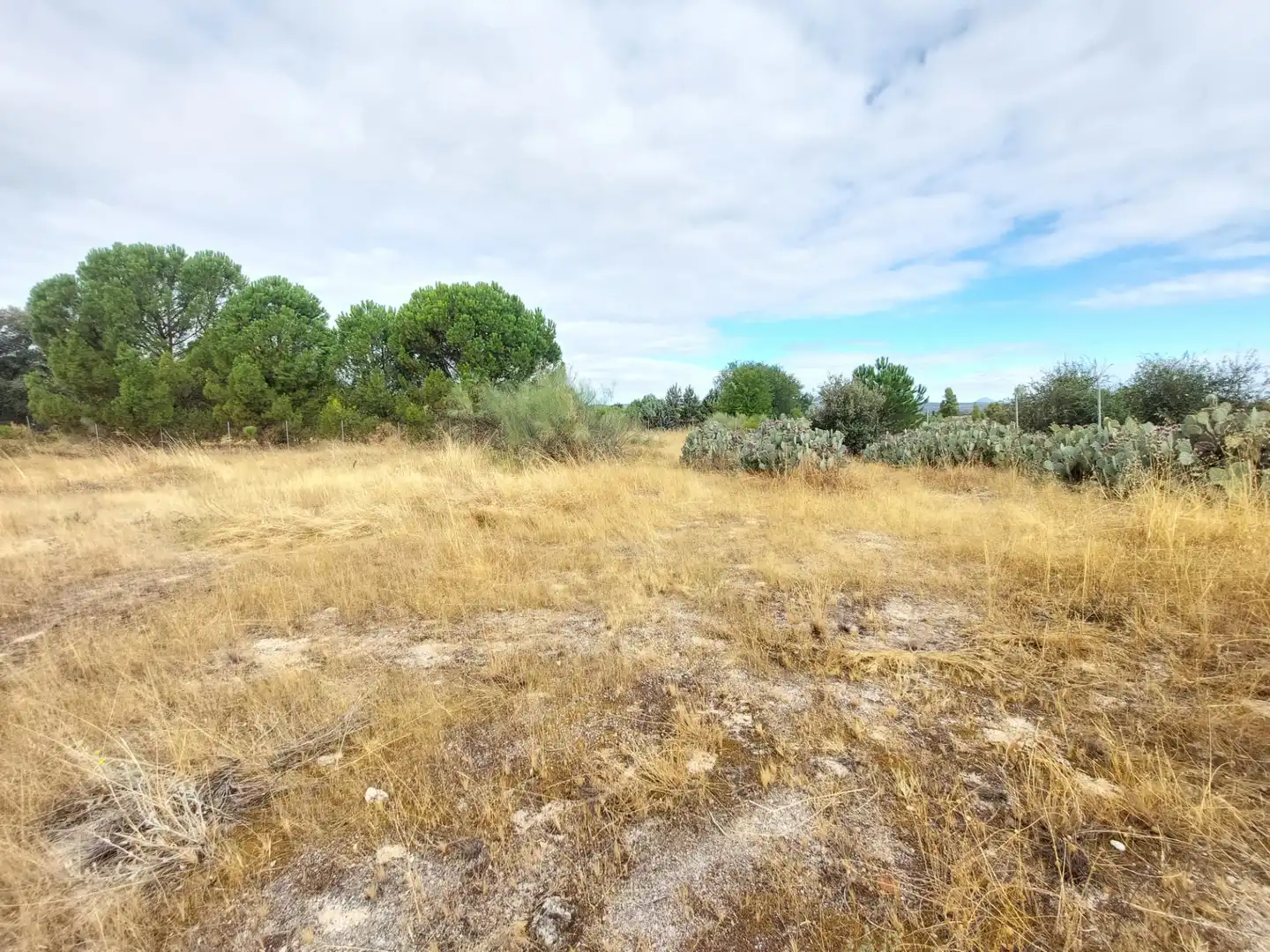 Terreni e lotti in vendita a Santa Cruz del Retamar pueblo, imagen 18