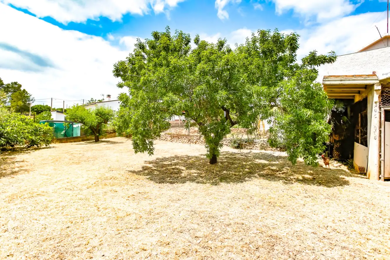 Finca rústica en venta en Avinyonet del Penedès