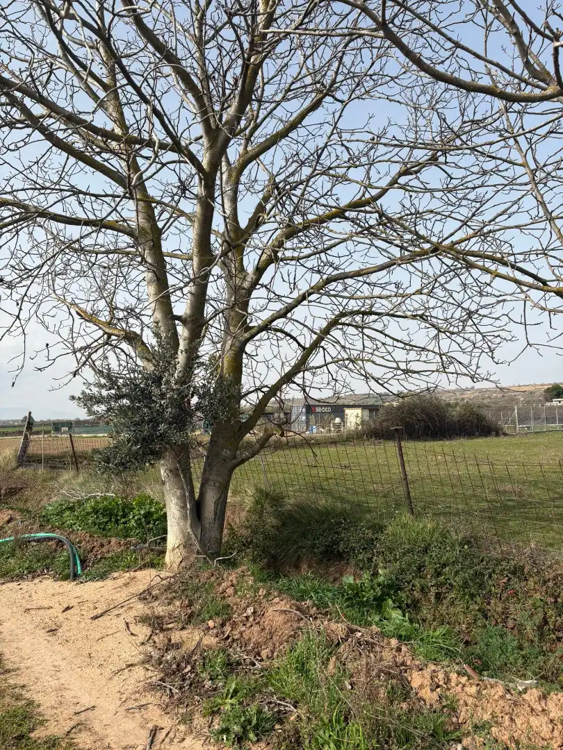 Rural land for sale in Villamediana de Iregua, imagen 5