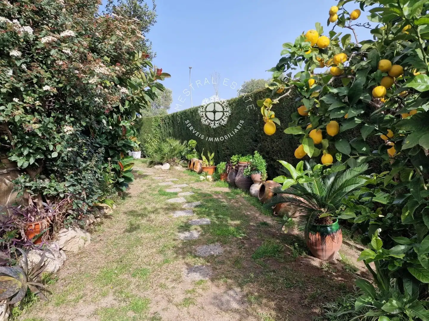 Villa avec piscine à vendre à Aristides Maiol, imagen 12