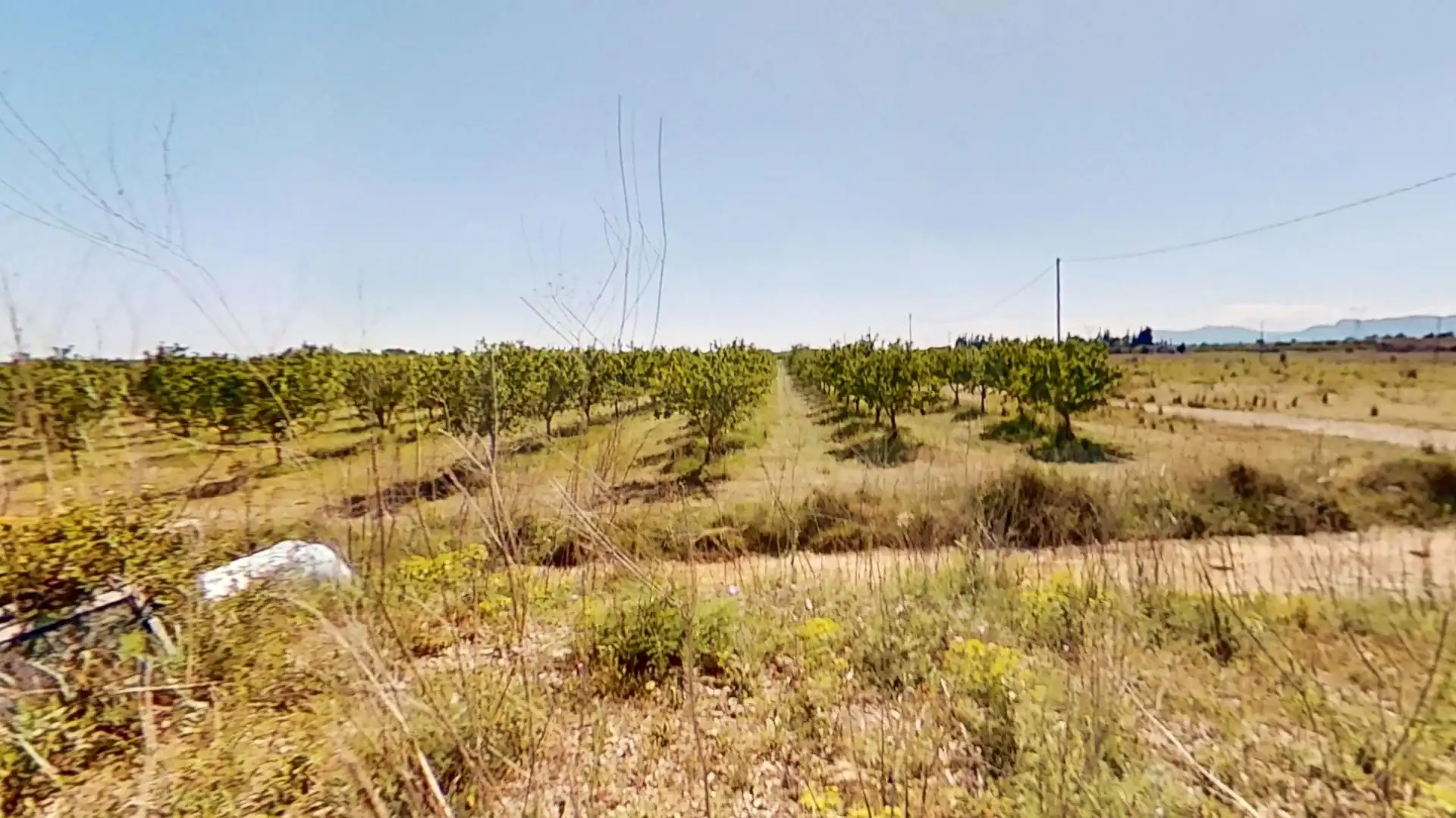 Terreny rústic en venda a Ulldecona, imagen 14