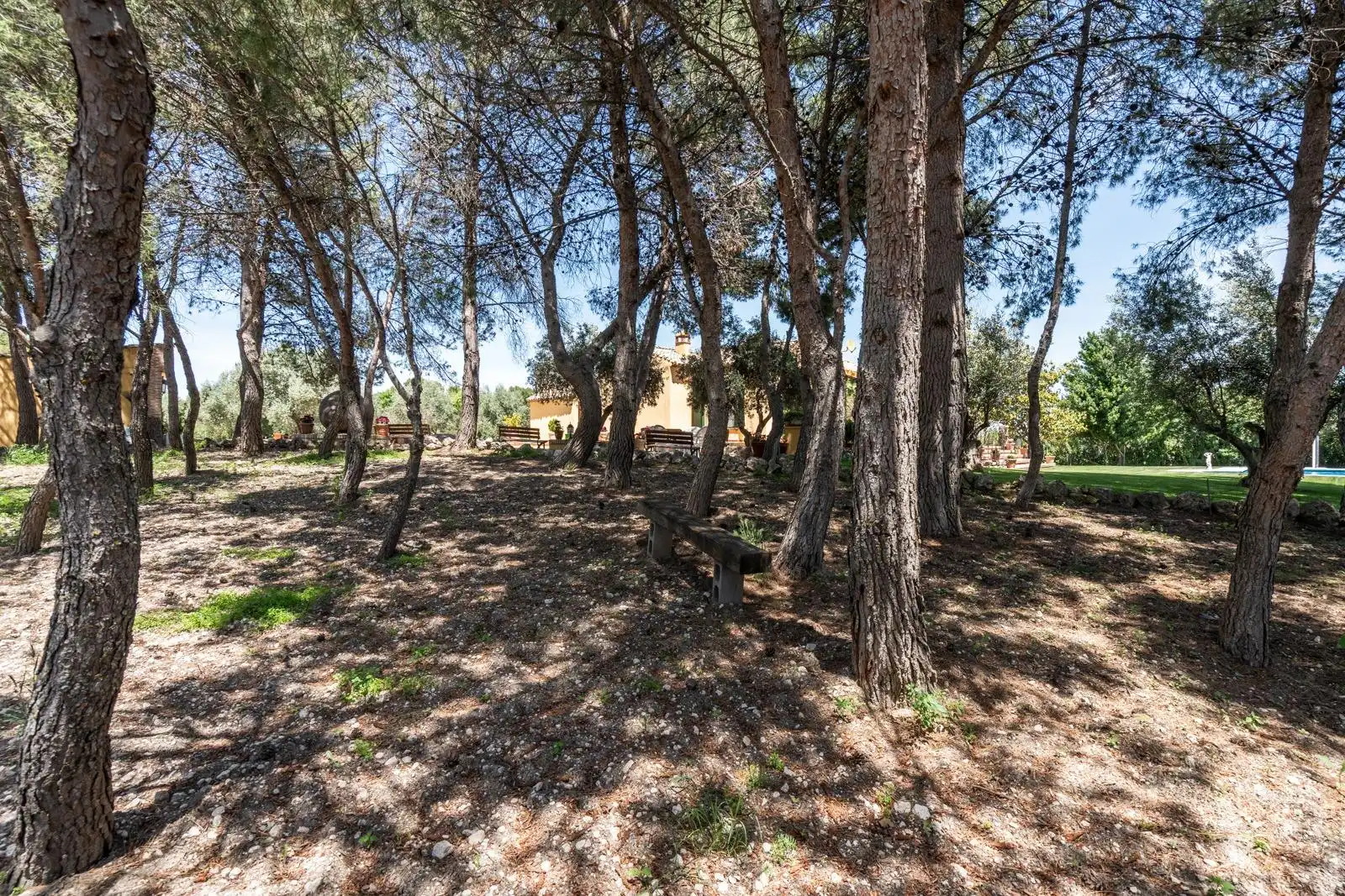 Finca rústica en venta en Chinchón con Aire acondicionado, Calefacción y Jardín privado