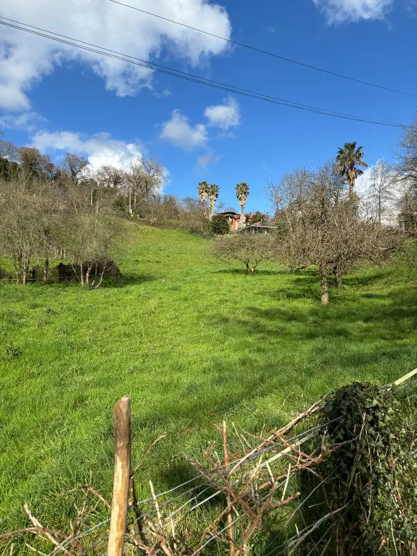 Residential for sale in Siero