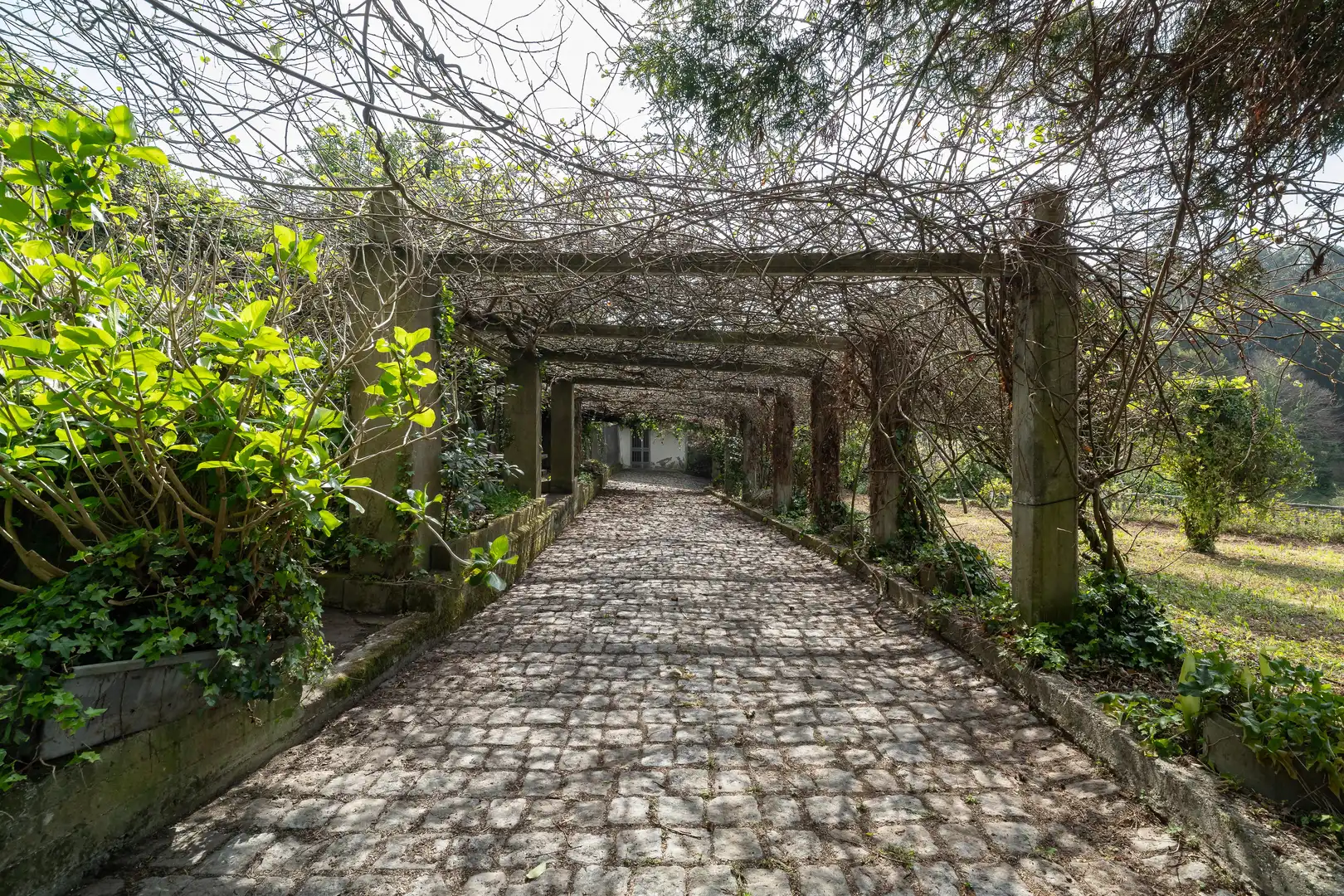 Jardí de Residencial en venda en Oleiros