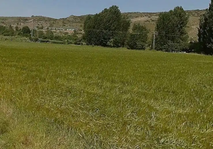 Terrenys i solars en venda a Tielmes, imagen 8