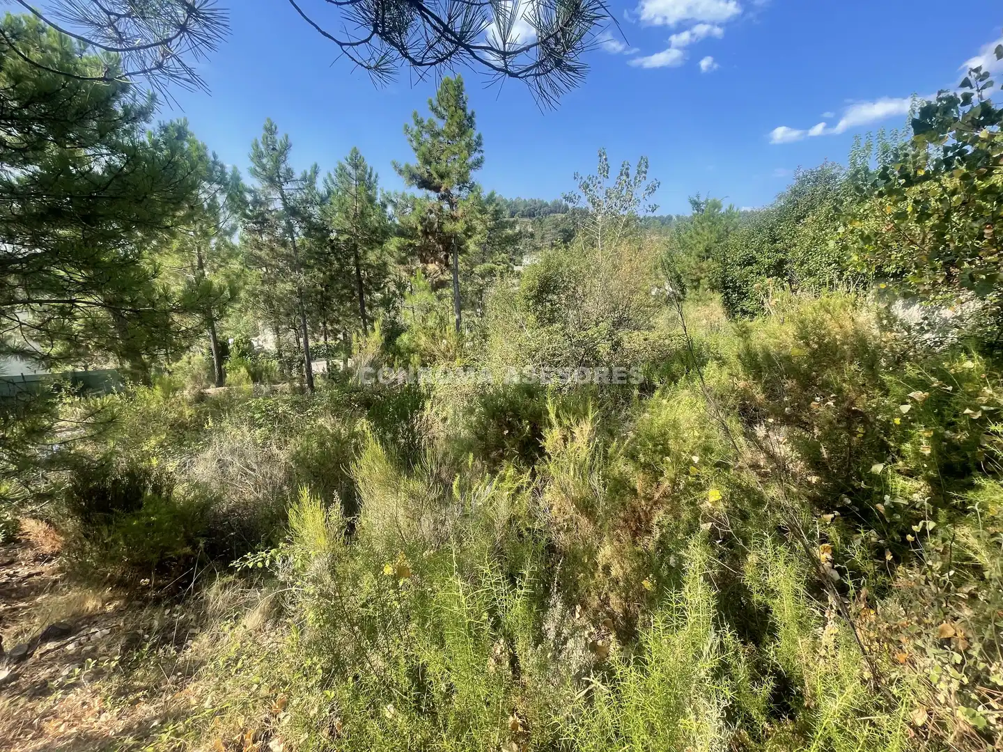 Terreno residenziale in vendita a Riudarenes, imagen 9