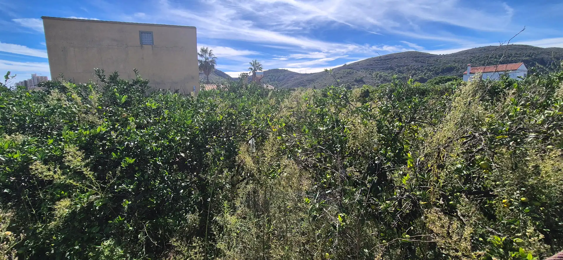 Country house with garden for sale in Avenida Dosel Acces E 8, imagen 6