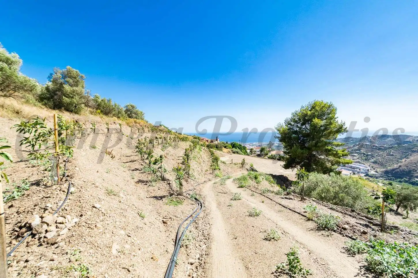 Rustikales Grundstück zum Verkauf in Torrox Pueblo, imagen 5