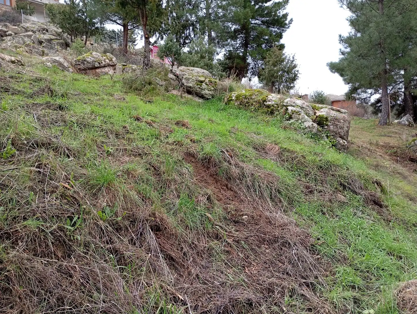 Terreni e lotti in vendita a Robledo de Chavela, imagen 8