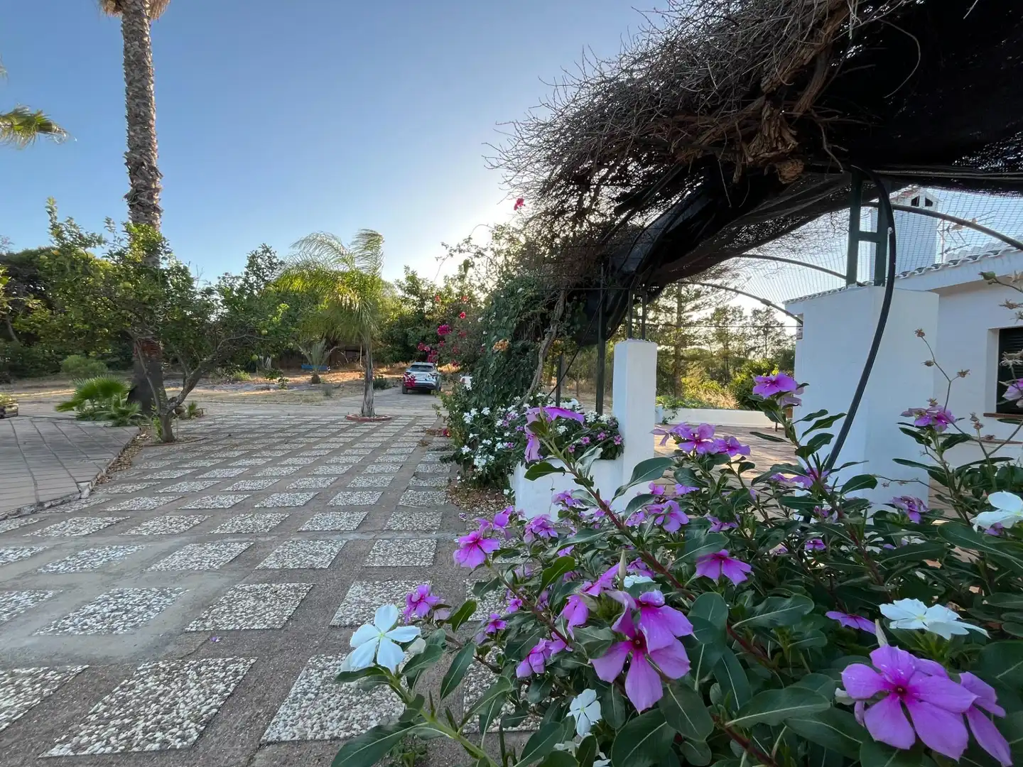 Terraza de Finca rústica en venta en Ayamonte con Jardín privado, Trastero y Piscina