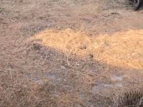 Terreno residencial en Venta en Calle la Fuente, 29 en Fuencaliente