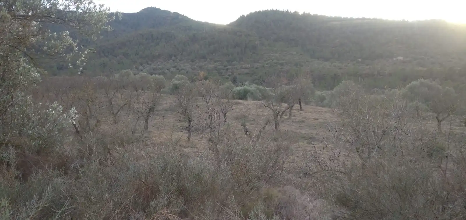 Terreno en venta en La Torre de l'Espanyol