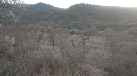 Foto 5 de Terreno en venta en La Torre de l'Espanyol, Tarragona