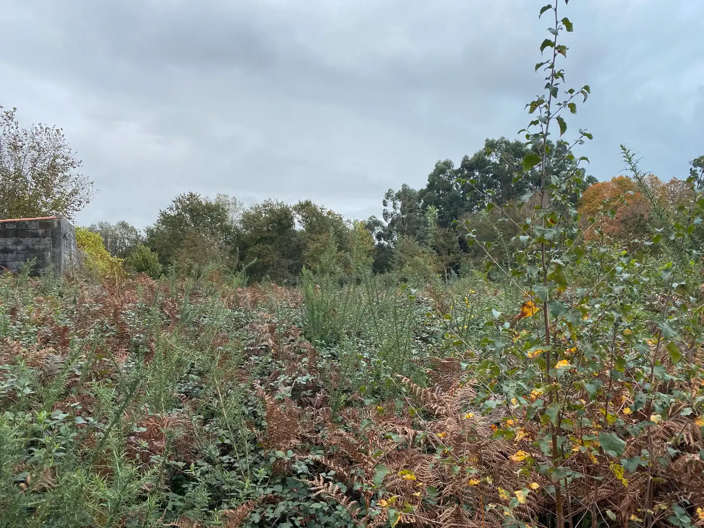 Terrains et parcelles à vendre à Lugar Sollans, imagen 5