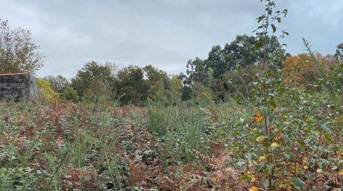 FINCA URBANIZABLE CON FRENTE MUY AMPLIO, immagine 5
