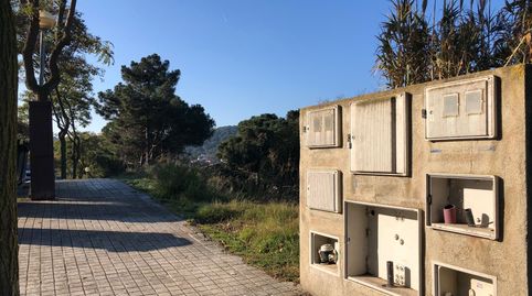 Terrenos Can Valls, imagen 5
