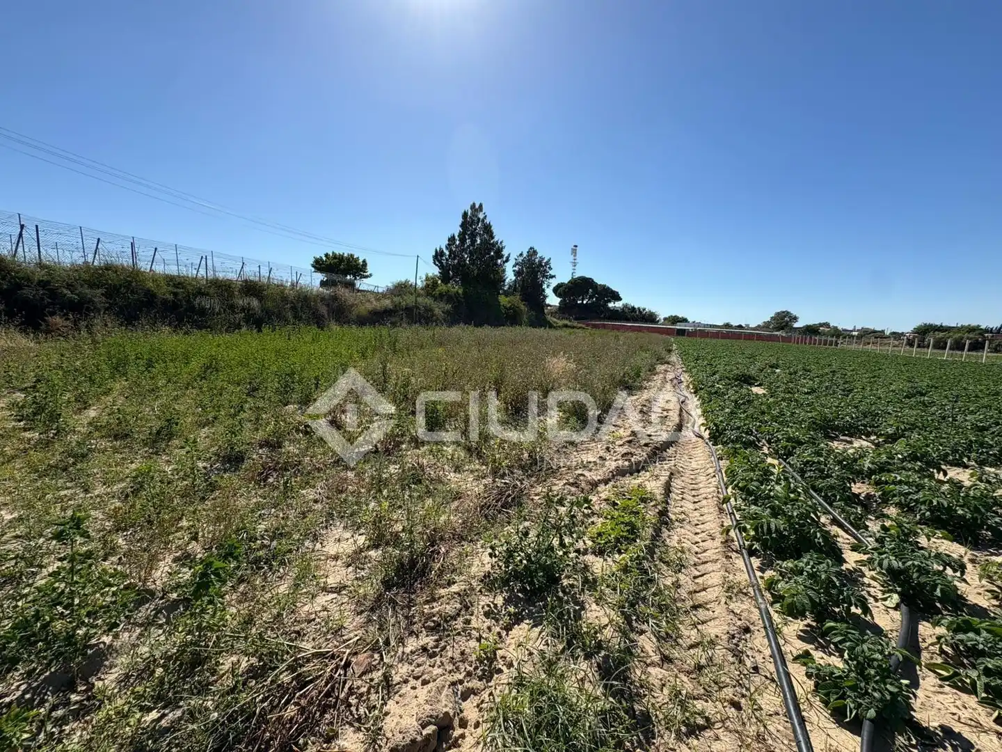 Terreno en venta en Sanlúcar de Barrameda