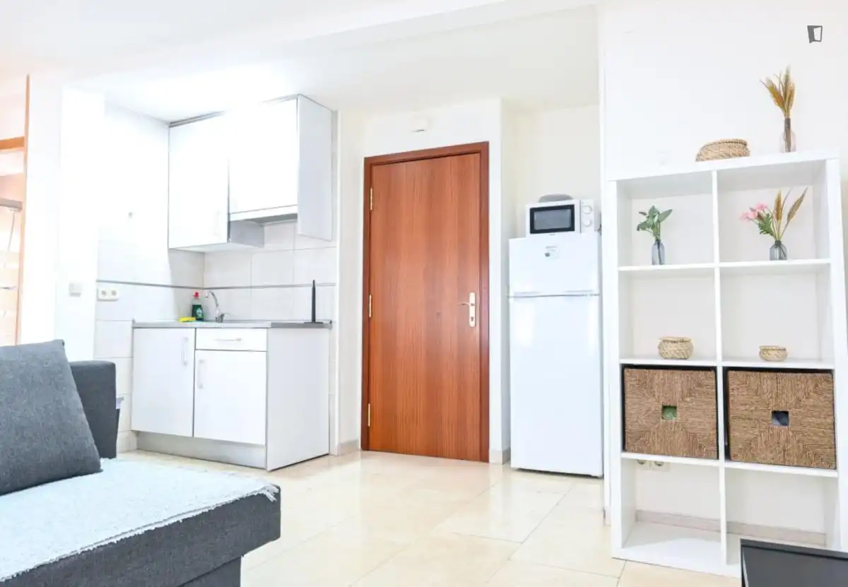Apartments for rent in Numancia