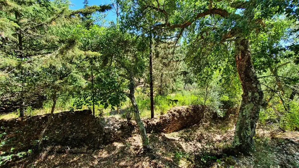 Terreni e lotti in vendita a Galaroza, imagen 15