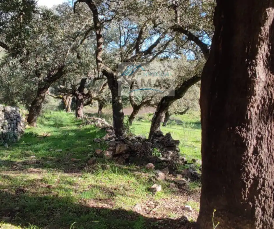 Terreni e lotti in vendita a Cabañas del Castillo, imagen 6