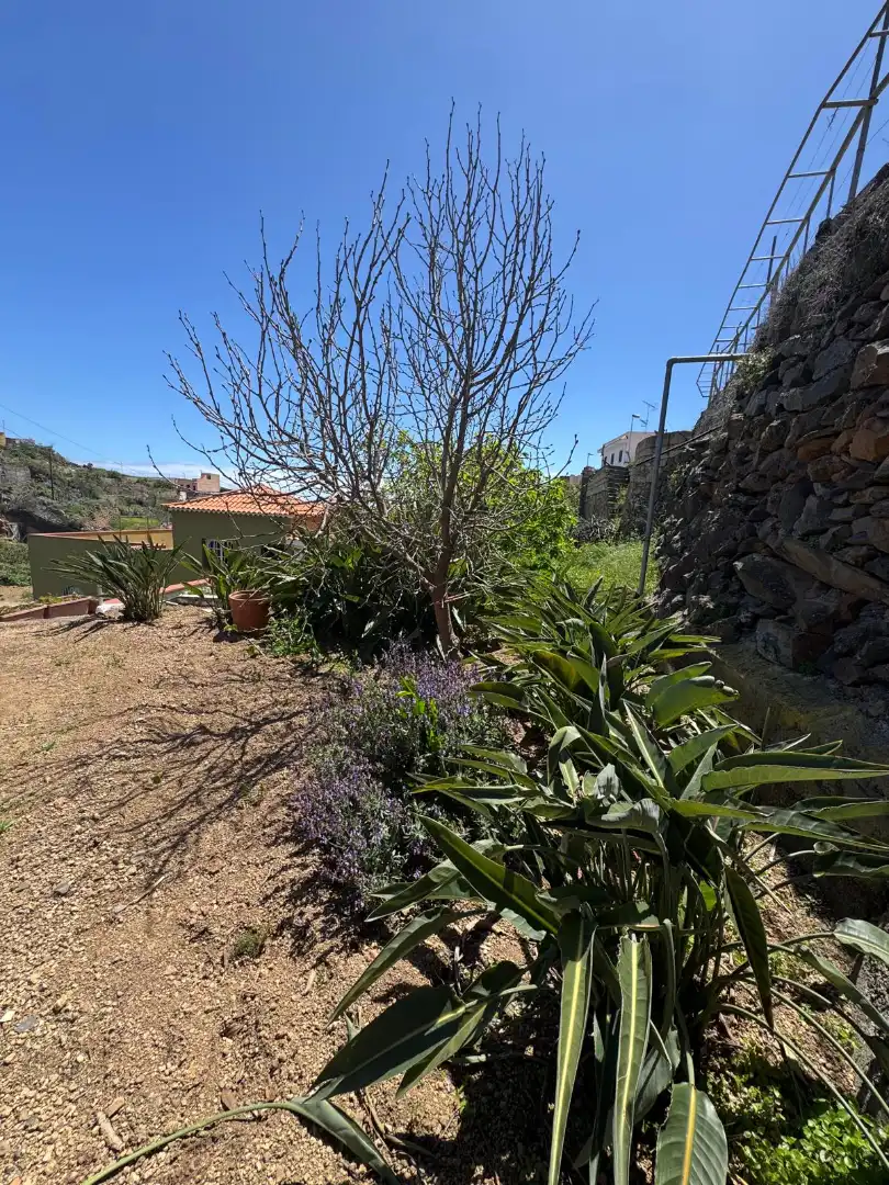 Casa o xalet en venda a Fasnia