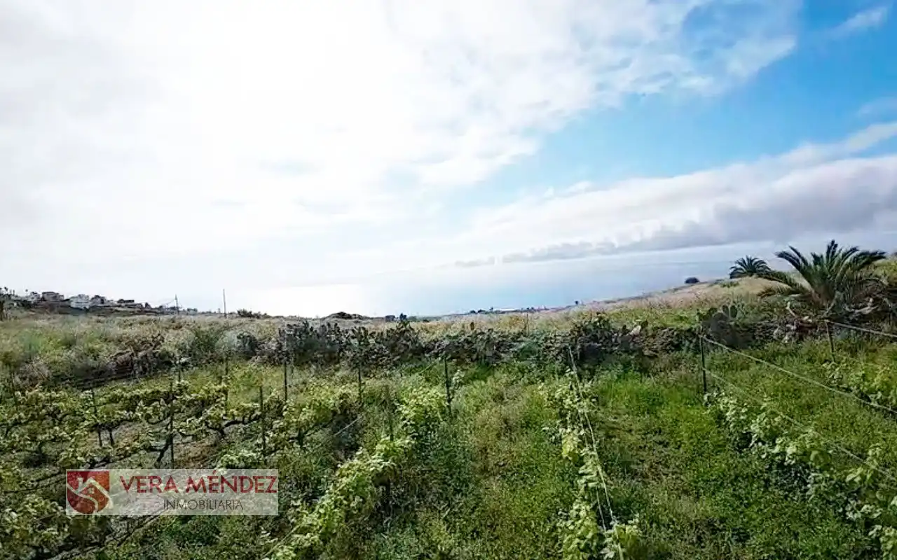 Finca rústica en venta en El Sauzal