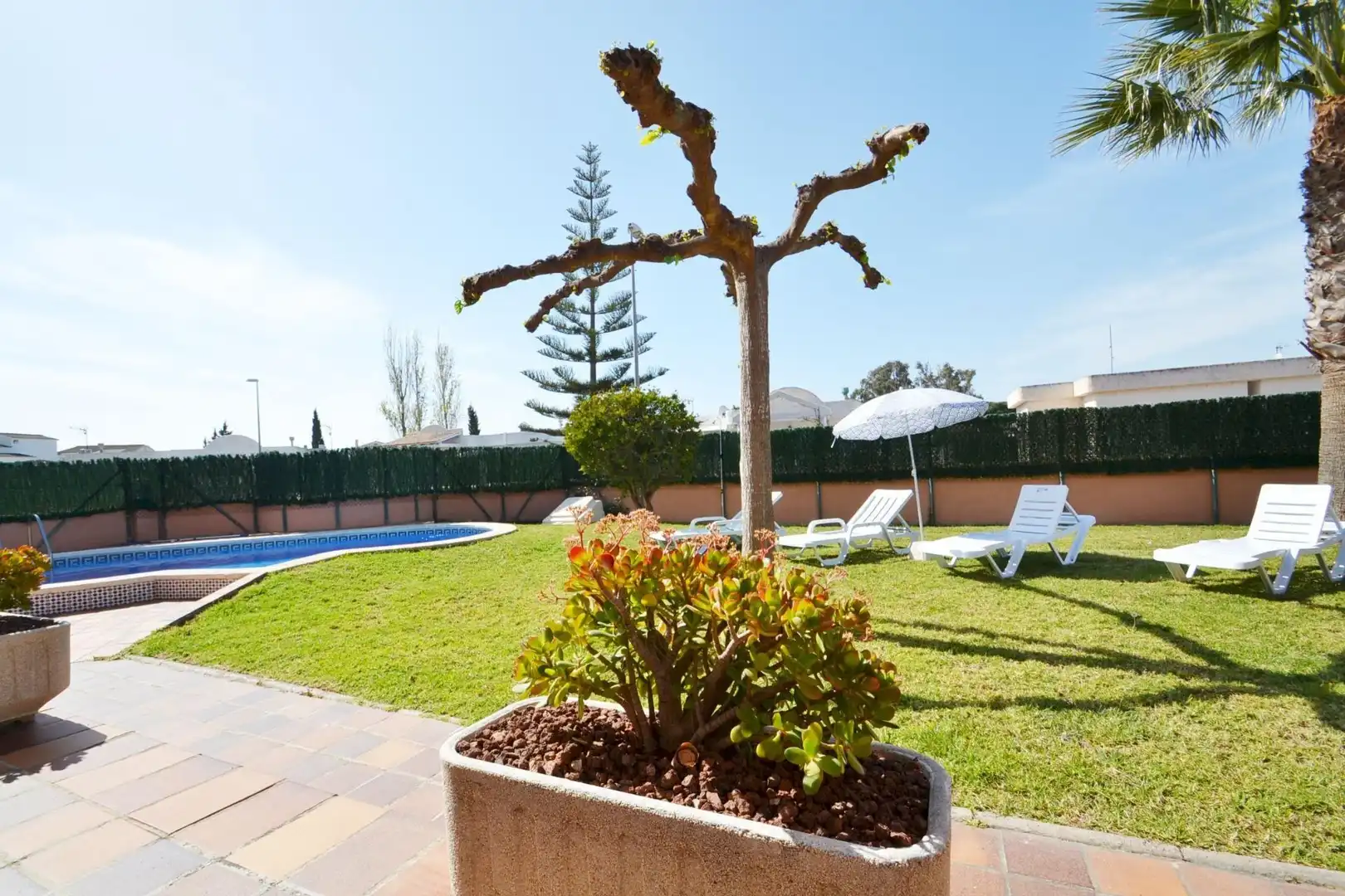 Jardín de Casa o chalet en venta en Deltebre con Aire acondicionado, Jardín privado y Terraza