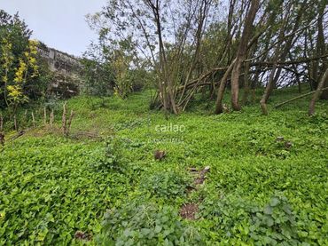Casa amb jardí en venda a A Malata - Catabois - Ciudad Jardín