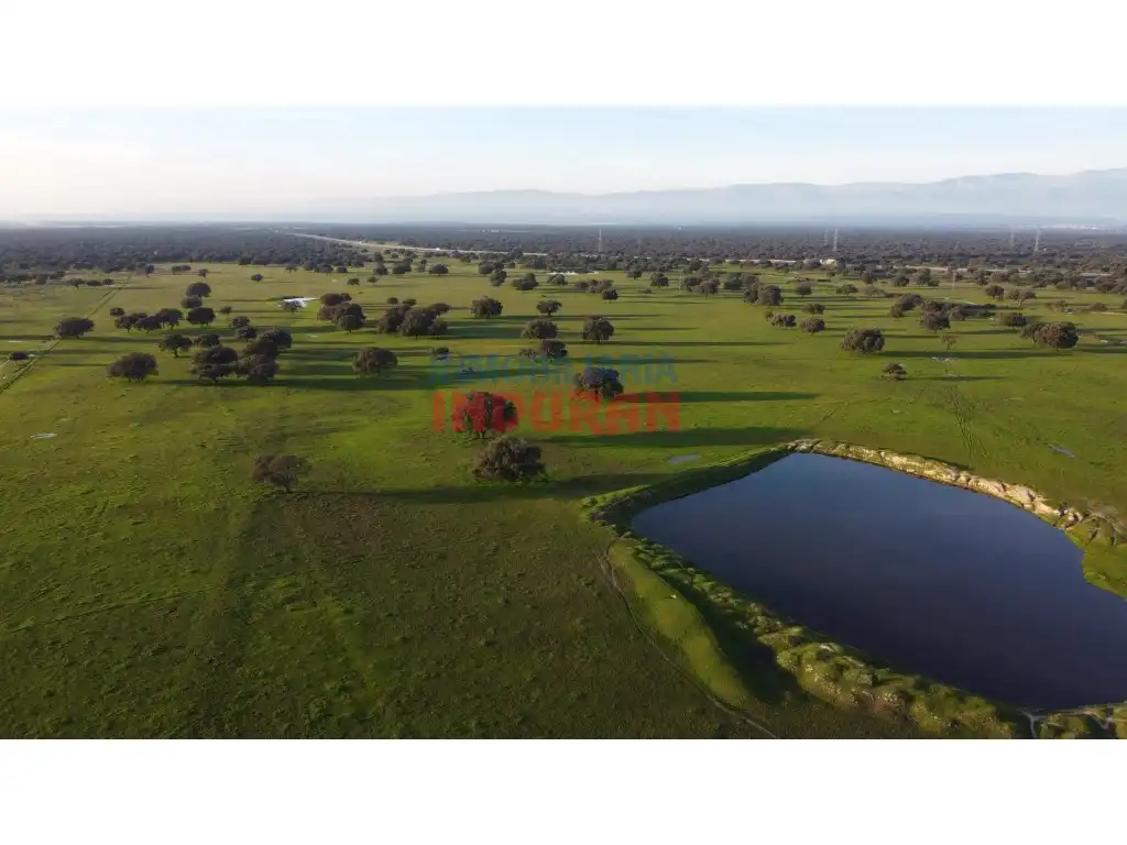 Casa o xalet en venda en Saucedilla