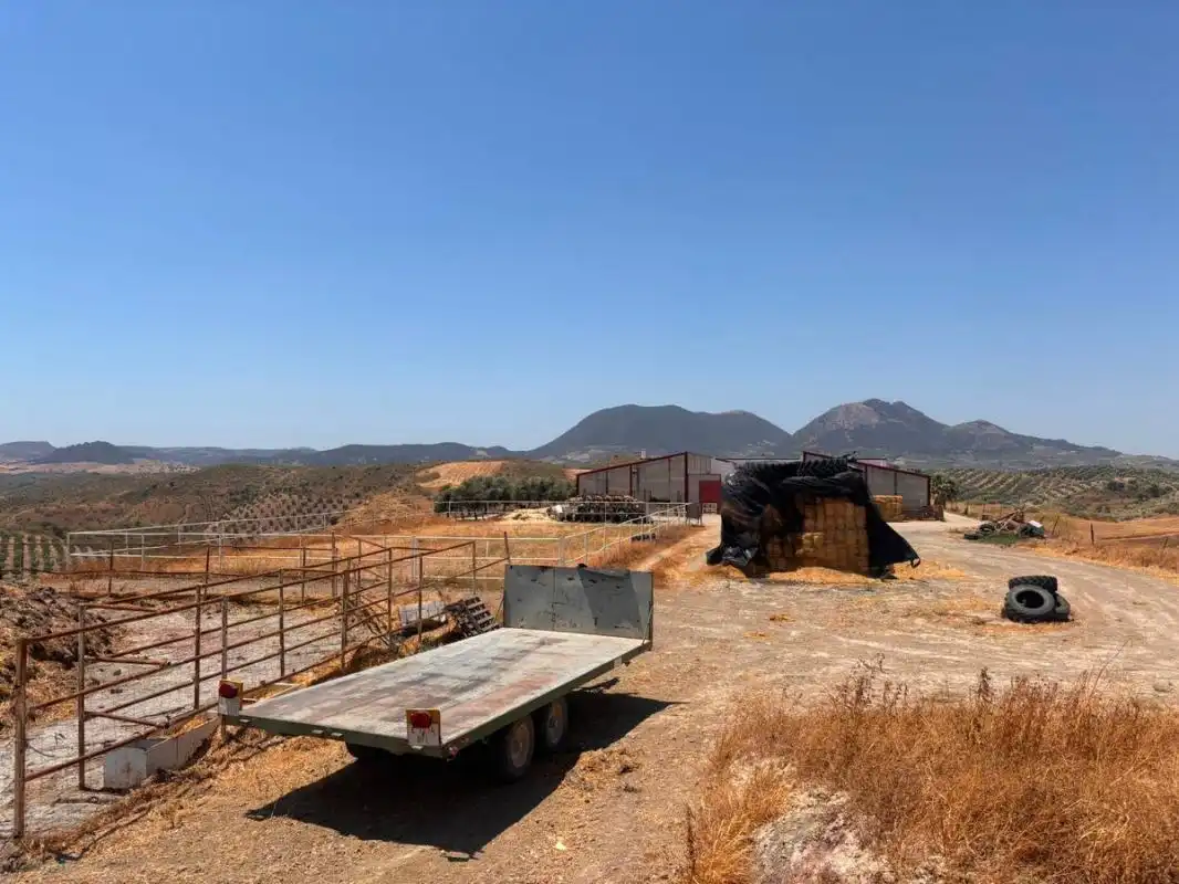Finca rústica en venda en El Saucejo amb Aire condicionat, Calefacció i Moblat