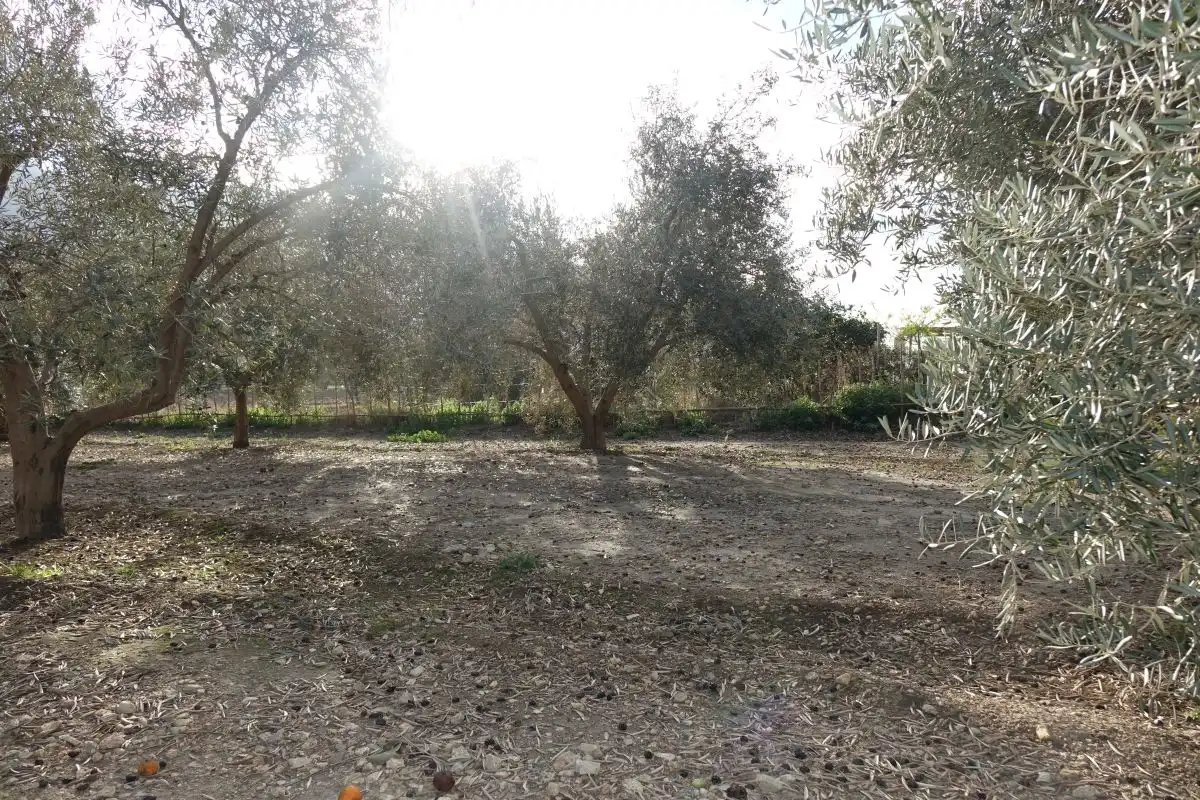 Casa rústica en venda a Órgiva, imagen 10