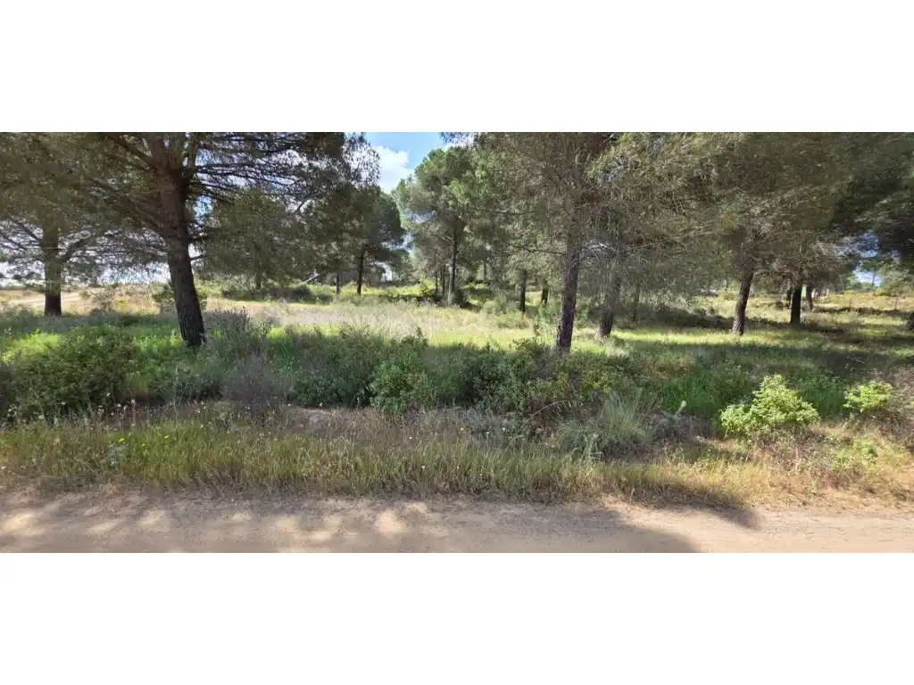 Terreny rústic en venda a Villablanca, imagen 4